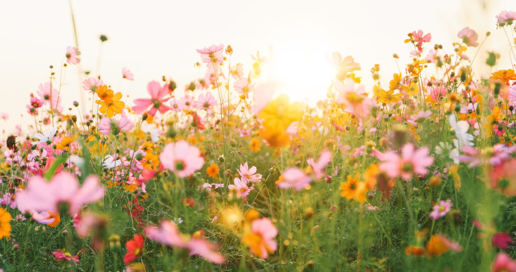 Thank You, Mothers. TrueNorth Wouldn’t Be Who We Are Without You.