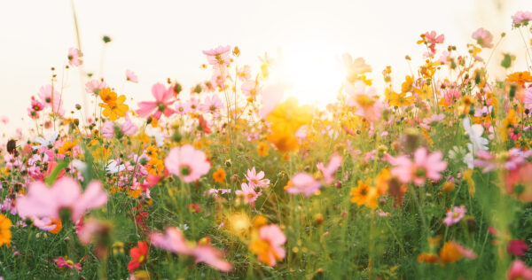 Thank You, Mothers. TrueNorth Wouldn’t Be Who We Are Without You.